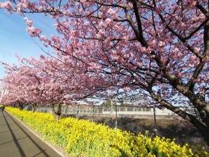 IMG_20210223_074203