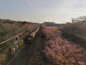 IMG_20210223_075135