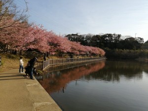IMG_20210223_075816