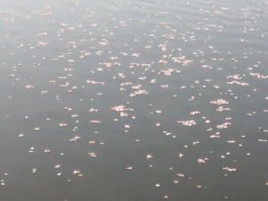 IMG_20210223_080234