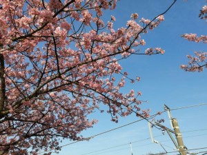 IMG_20210223_081250