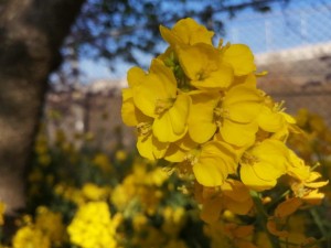 IMG_20210223_081854