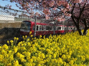 IMG_20210223_082607