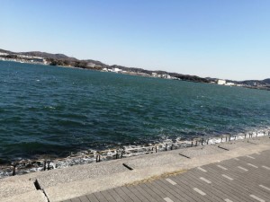 IMG_20210223_093821