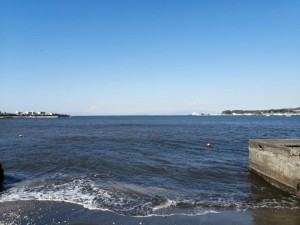 IMG_20210223_100323