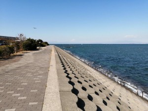 IMG_20210223_102854