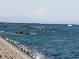 IMG_20210223_102907
