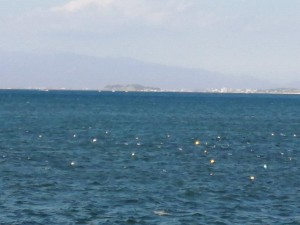 IMG_20210223_102912