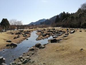 IMG_20210228_103955