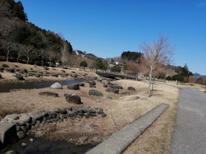 IMG_20210228_104115