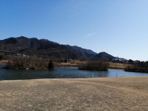IMG_20210228_104159