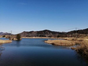 IMG_20210228_104559