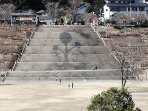 IMG_20210228_110502