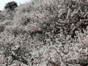 IMG_20210311_091825