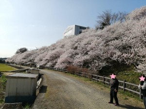 IMG_20210311_092101