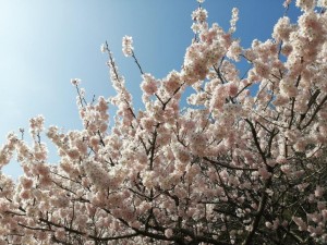 IMG_20210311_092130