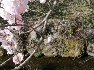 IMG_20210311_092344