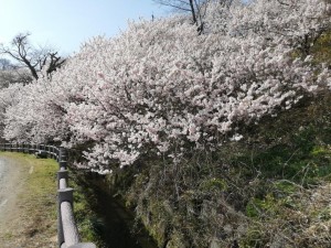 IMG_20210311_092422