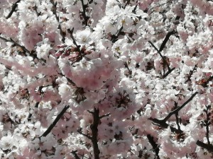 IMG_20210311_094352