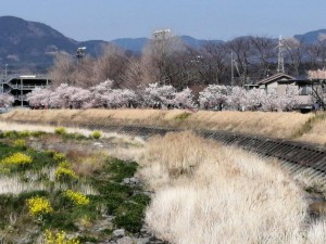 IMG_20210311_102520