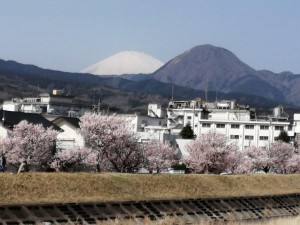 IMG_20210311_102622