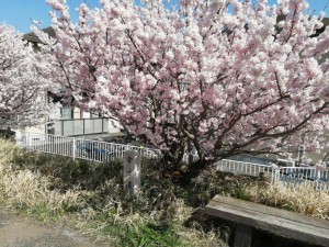 IMG_20210311_102758