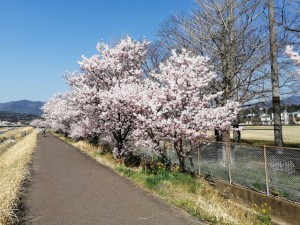 IMG_20210311_103119