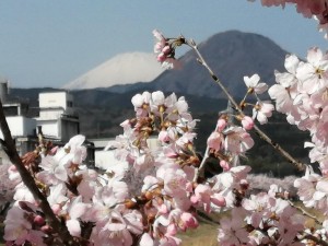 IMG_20210311_103225