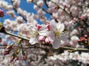 IMG_20210311_103642