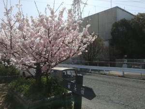 IMG_20210311_104417