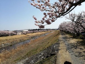 IMG_20210311_104534