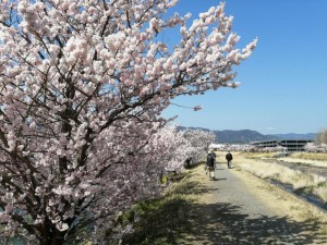 IMG_20210311_105437