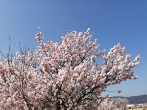 IMG_20210311_105443