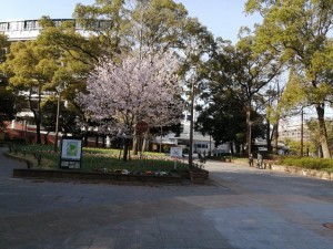 IMG_20210327_073158