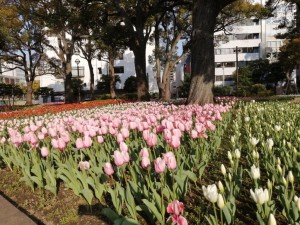 IMG_20210327_073629
