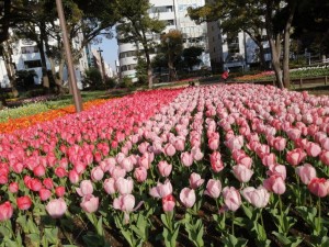IMG_20210327_073650