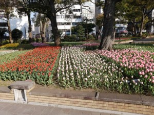 IMG_20210327_073819