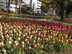 IMG_20210327_073837