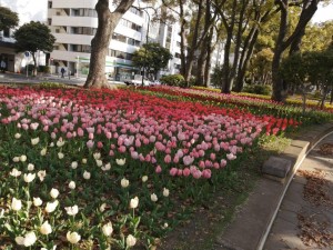 IMG_20210327_073920