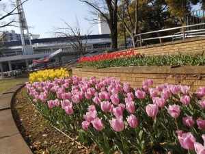 IMG_20210327_074244