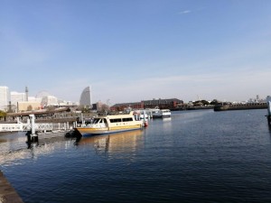 IMG_20210327_075242