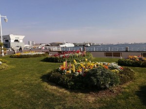 IMG_20210327_080253