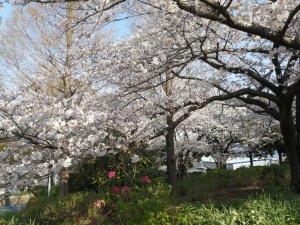 IMG_20210327_081837