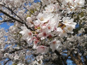 IMG_20210327_082021