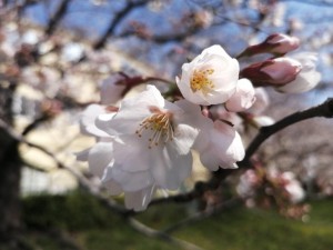 IMG_20210327_095532