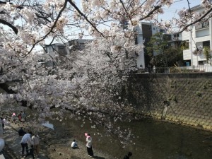 IMG_20210327_113802