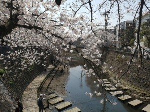 IMG_20210327_113855
