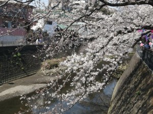 IMG_20210327_113912