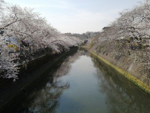 IMG_20210327_120748