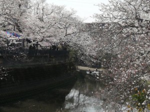IMG_20210327_121003